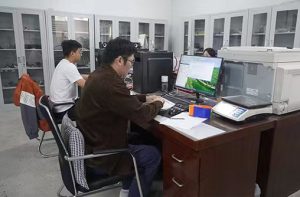 team-collaboration