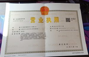 Business License